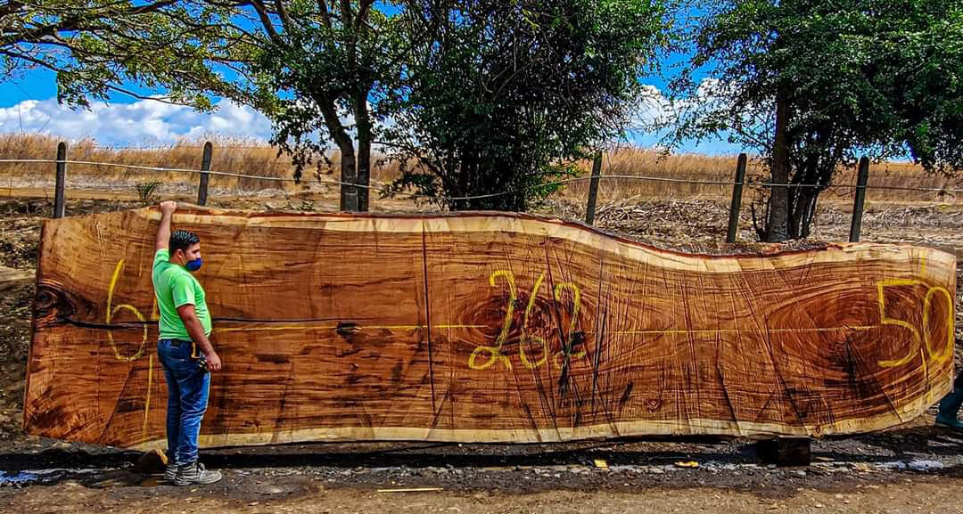 Why Choose WoodLab Slabs for Your Custom Wood Creations?